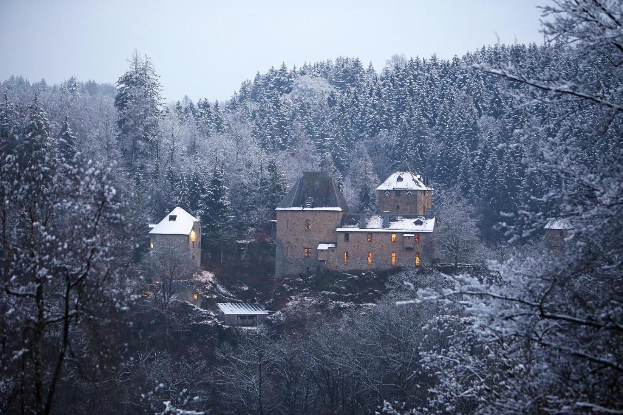 Le Bonheur De La Cascade 24 Pers - Malmedy, Wellness, Jardin, Confort Kültér fotó