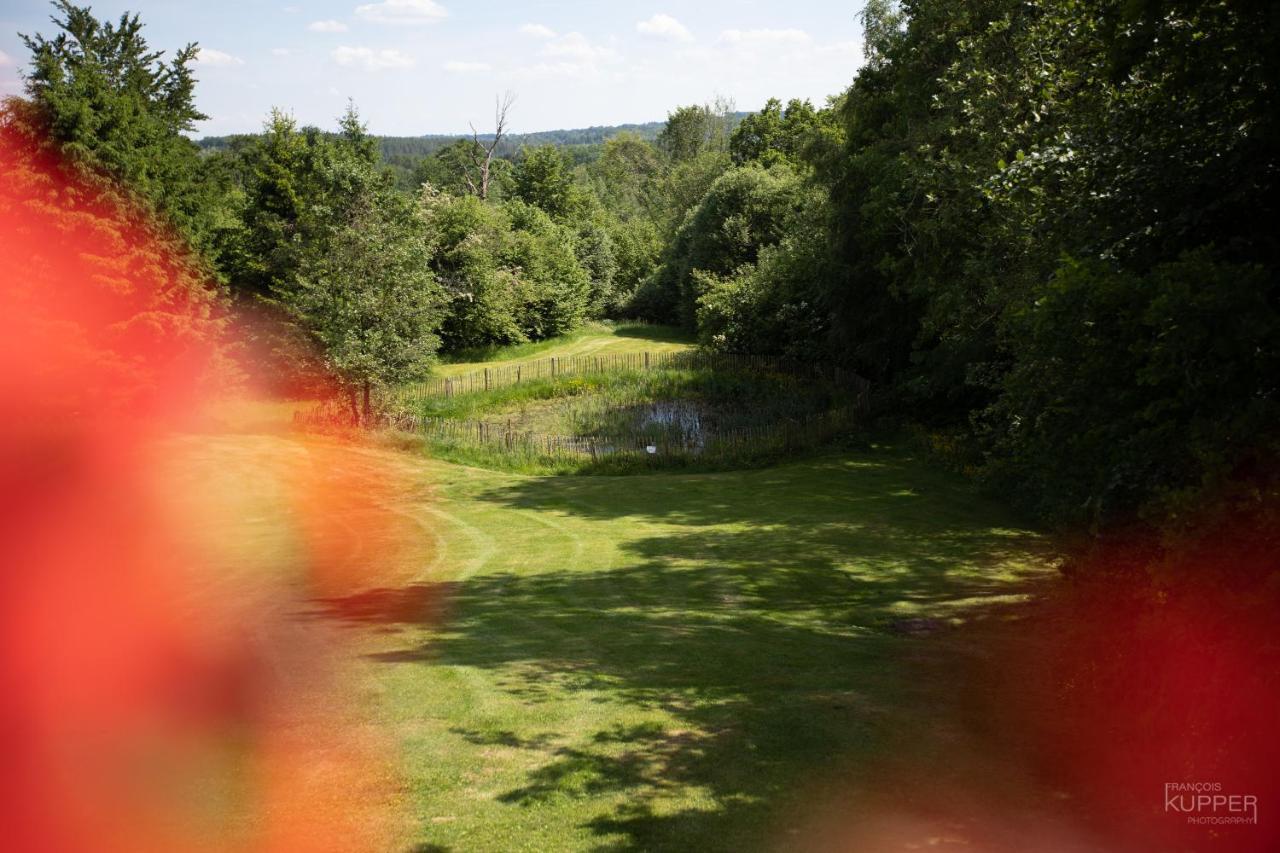 Le Bonheur De La Cascade 24 Pers - Malmedy, Wellness, Jardin, Confort Kültér fotó